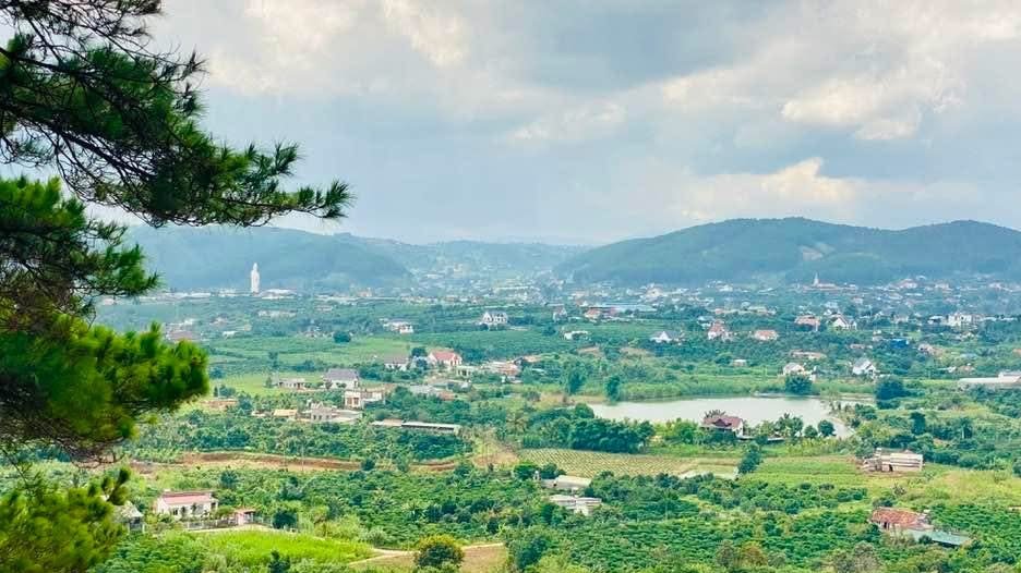 Nhìn qua cành thông xuống thung lũng Đà Lạt: vườn cây, nhà rải rác, một hồ nước, núi phía xa